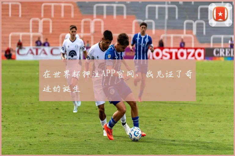 在世界杯押注APP官网，我见证了奇迹的诞生