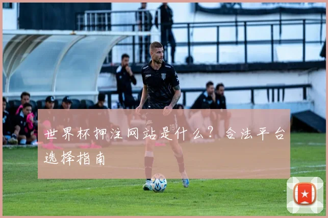 世界杯押注网站是什么?合法平台选择指南
