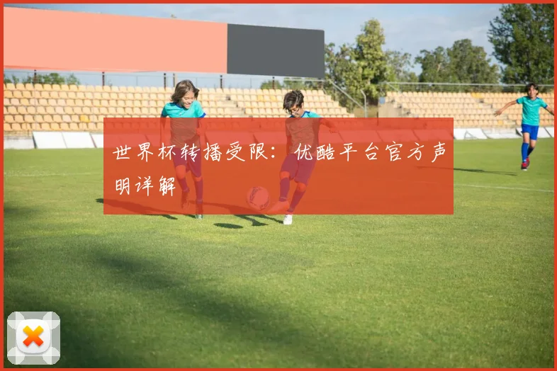 世界杯转播受限：优酷平台官方声明详解