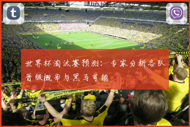 世界杯淘汰赛预测:专家分析各队晋级概率与黑马可能